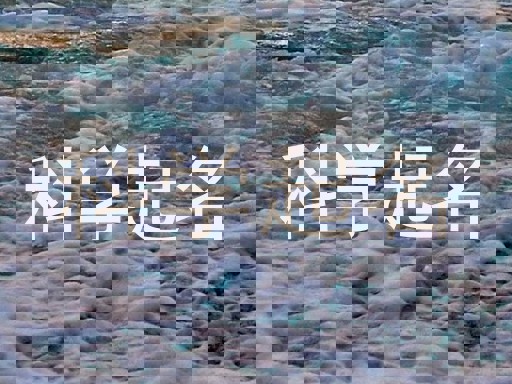 科学起名