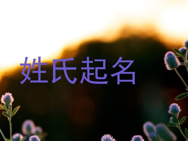 姓氏起名