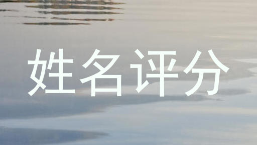 姓名评分