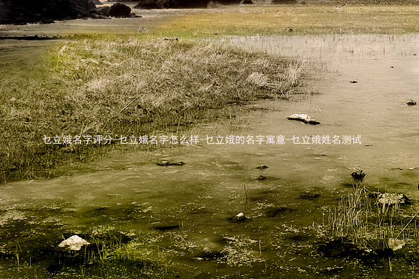 乜立娥名字评分-乜立娥名字怎么样-乜立娥的名字寓意-乜立娥姓名测试