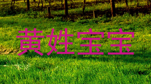 黄姓宝宝