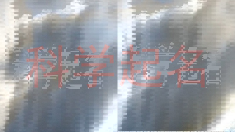 科学起名