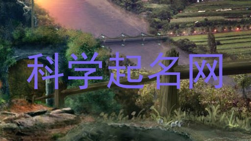 科学起名网