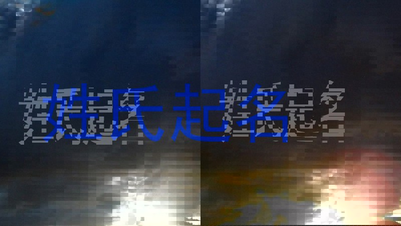 姓氏起名