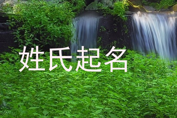姓氏起名