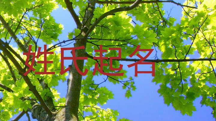 姓氏起名