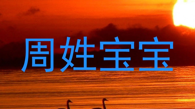 周姓宝宝