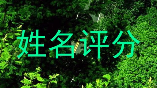 姓名评分