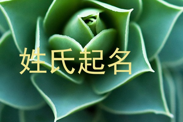 姓氏起名