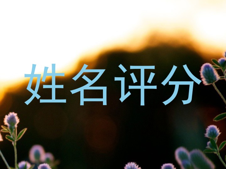 姓名评分