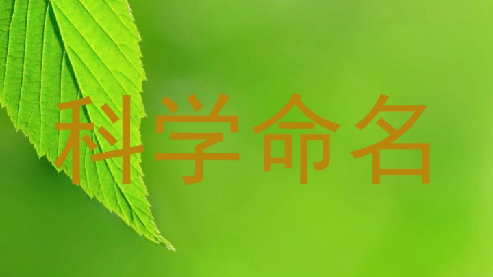科学命名