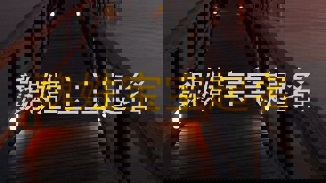 魏姓宝宝起名