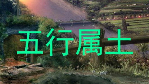 五行属土