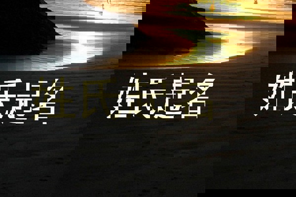 姓氏起名