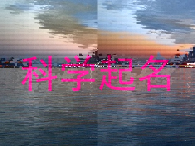 科学起名