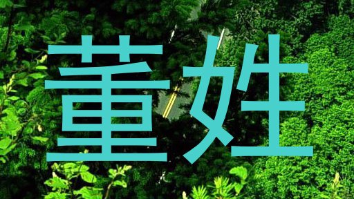 董姓
