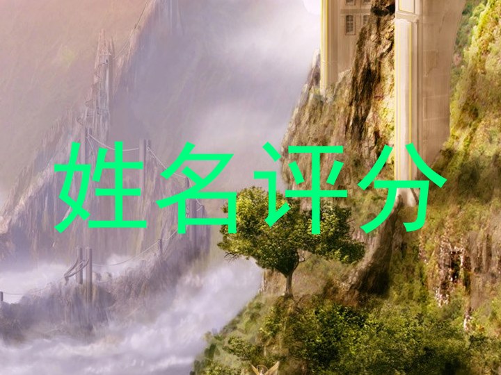 姓名评分