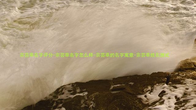 宗芸萃名字评分-宗芸萃名字怎么样-宗芸萃的名字寓意-宗芸萃姓名测试