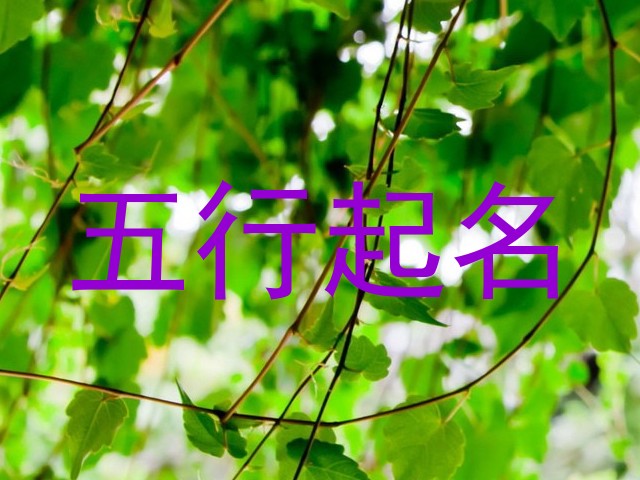 五行起名