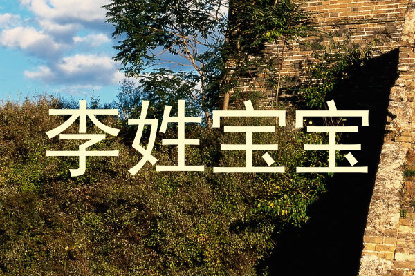李姓宝宝