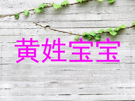 黄姓宝宝