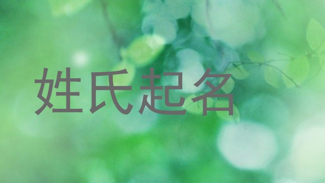 姓氏起名