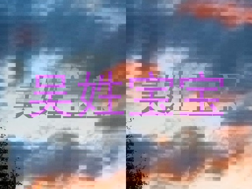 吴姓宝宝