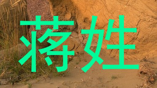 蒋姓