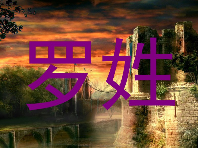 罗姓