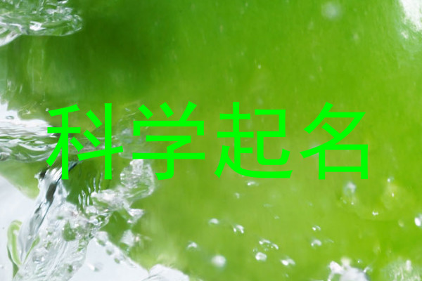 科学起名