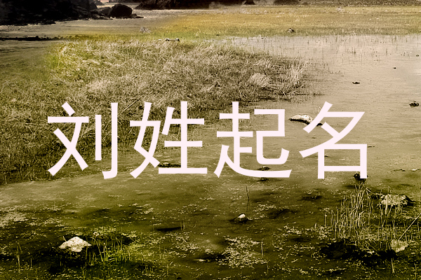 刘姓起名