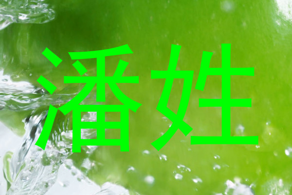 潘姓