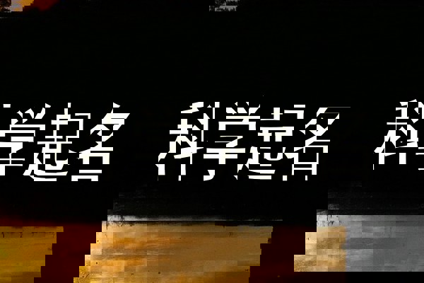 科学起名