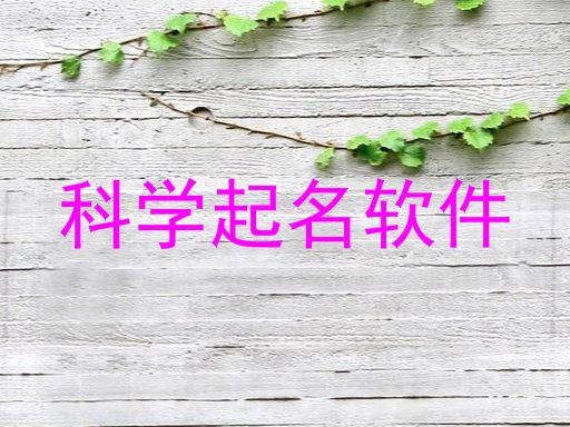 科学起名软件