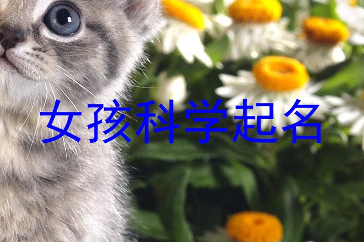 女孩科学起名