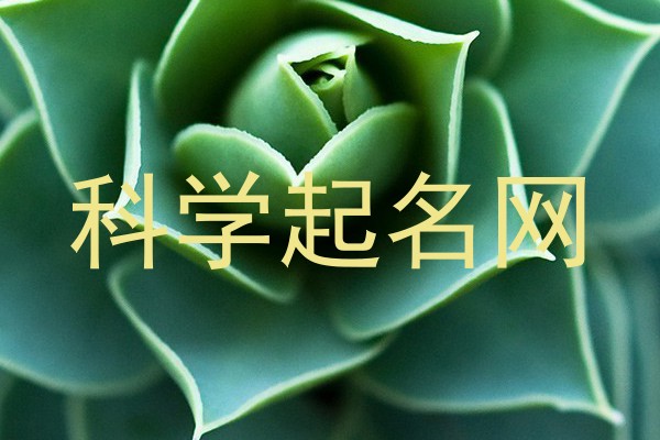 科学起名网