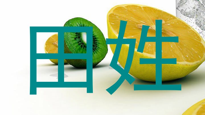 田姓
