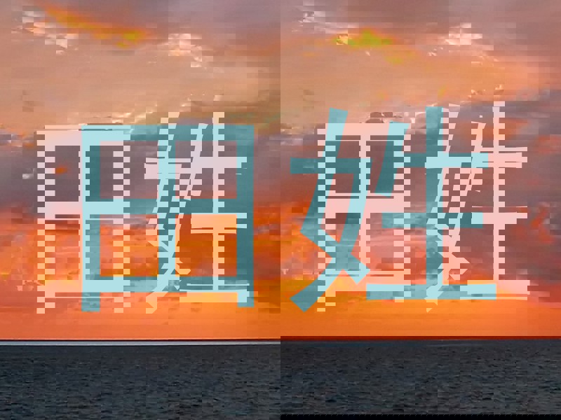 田姓