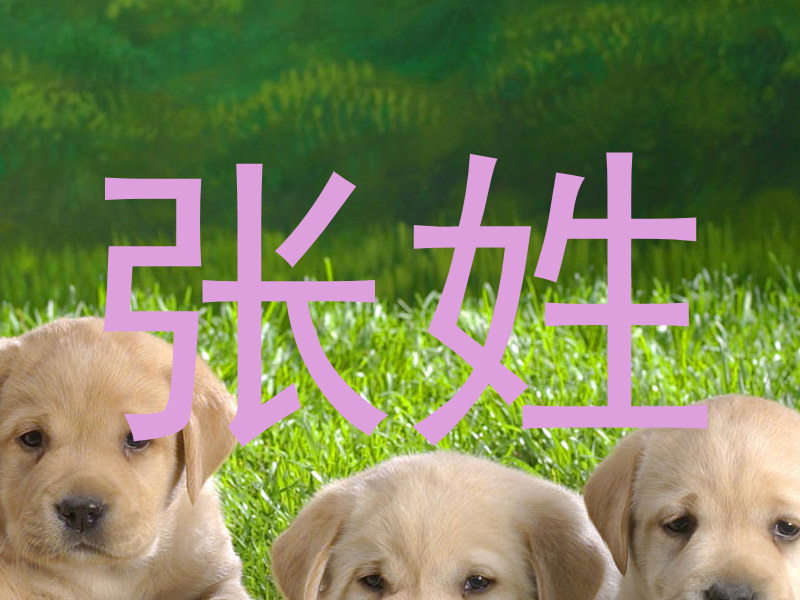 张姓