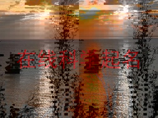 在线科学起名