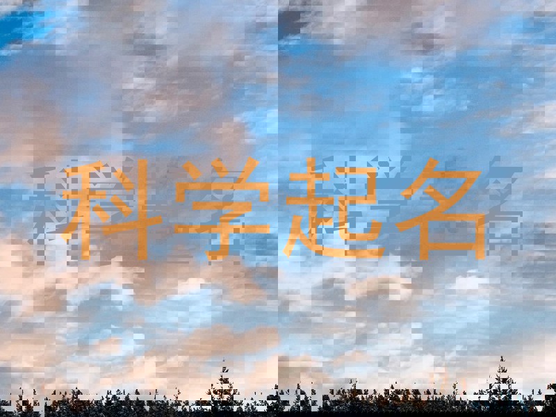 科学起名