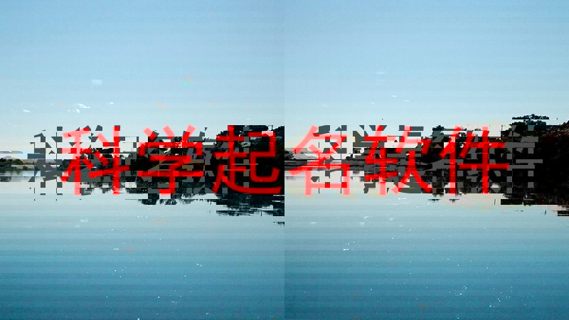 科学起名软件