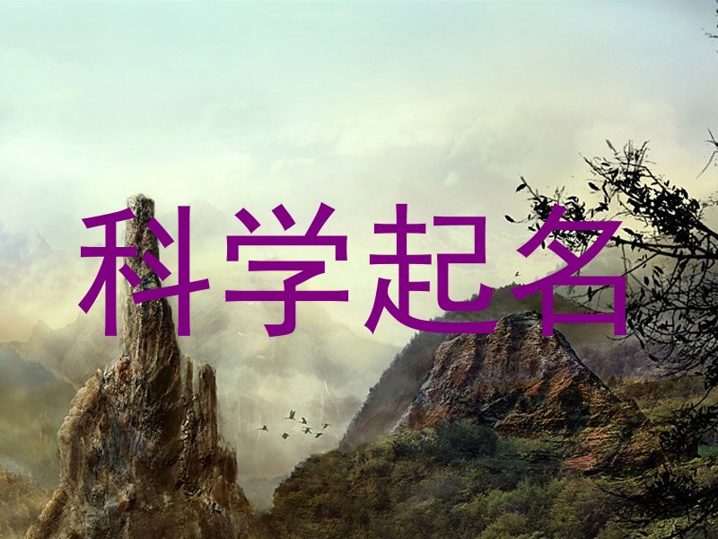 科学起名