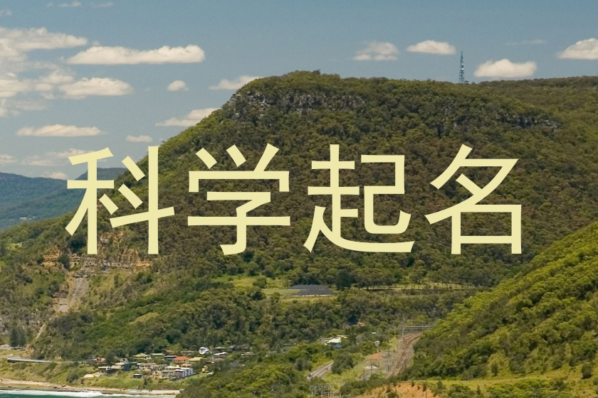 科学起名