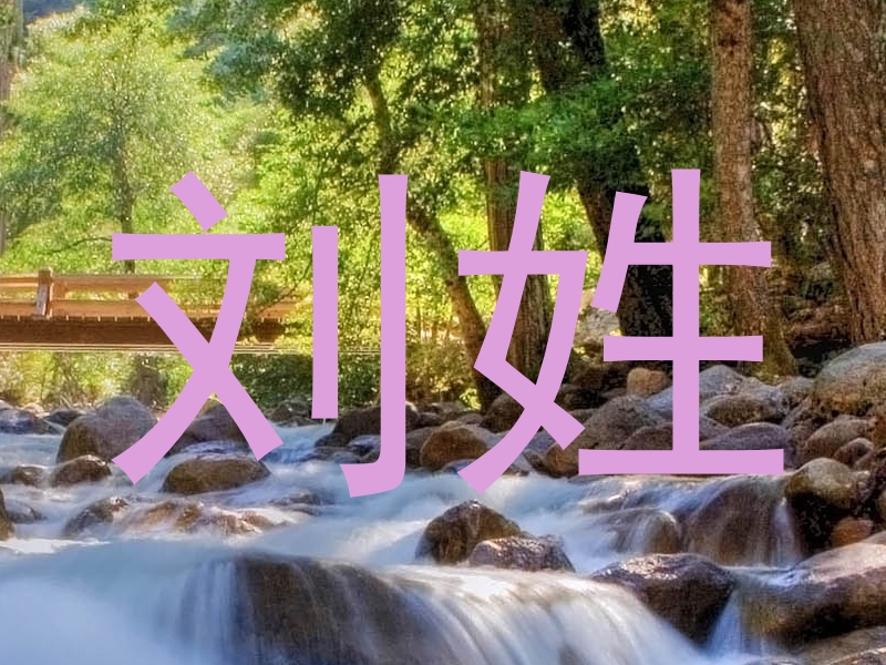 刘姓