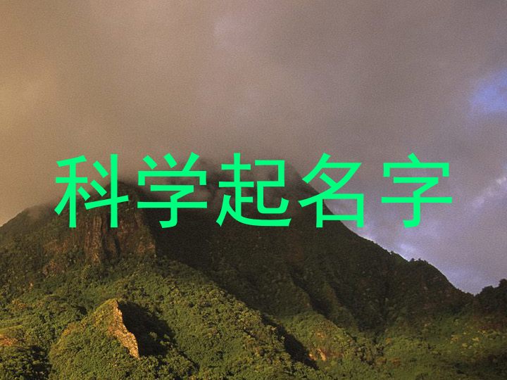 科学起名字
