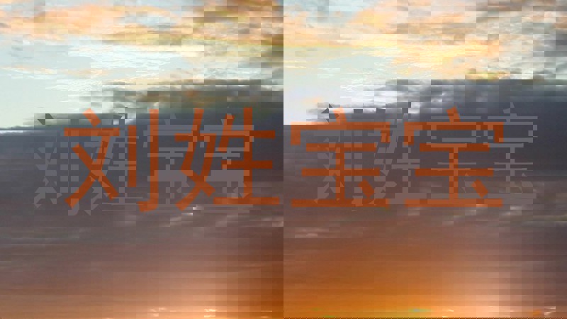 刘姓宝宝