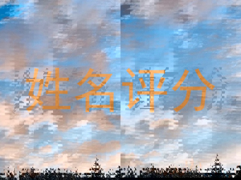 姓名评分