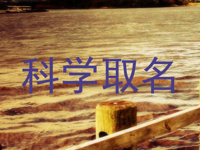 科学取名