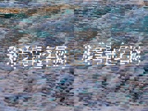 科学起名网